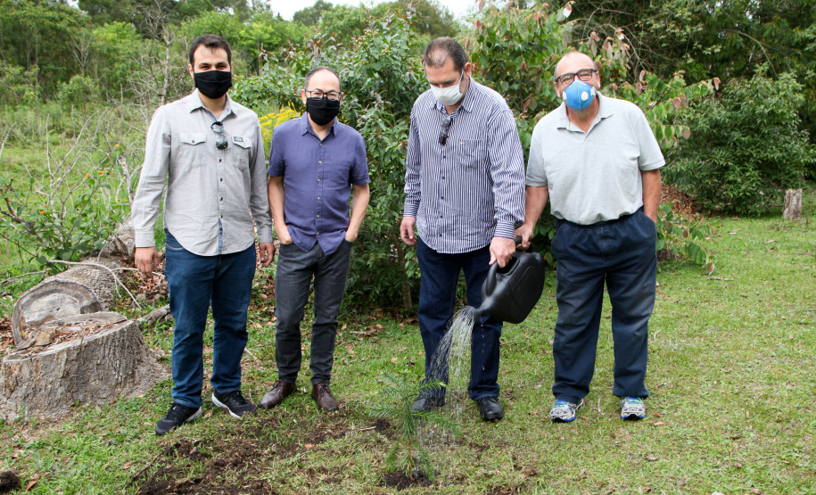 Governo do Estado faz plantio de mudas de araucária. Foto: Ari Dias/AEN