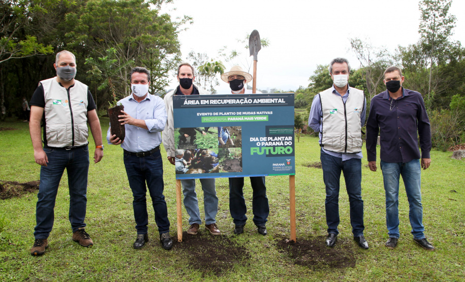 Governo do Estado faz plantio de mudas de araucária. Foto: Ari Dias/AEN