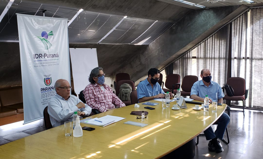 Programa fortalece a produção de uvas e derivados no Paraná. Foto:SEAB