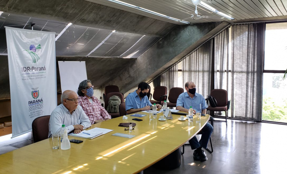 Programa fortalece a produção de uvas e derivados no Paraná. Foto:SEAB