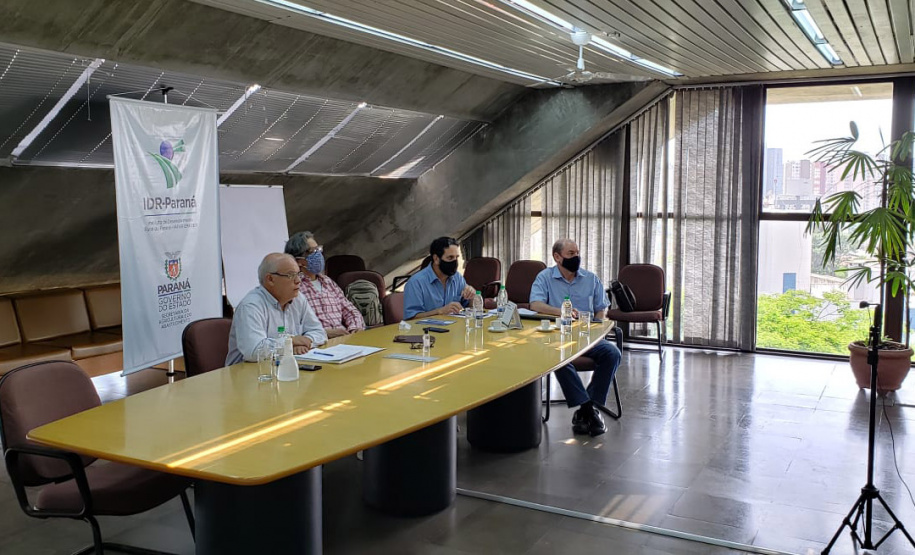 Programa fortalece a produção de uvas e derivados no Paraná. Foto:SEAB