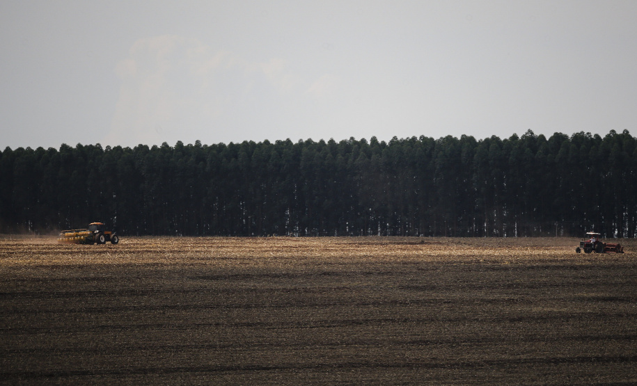 Chuvas voltam ao Estado e plantio da safra 20/21 se recupera. Foto: Jonathan Campos/AEN