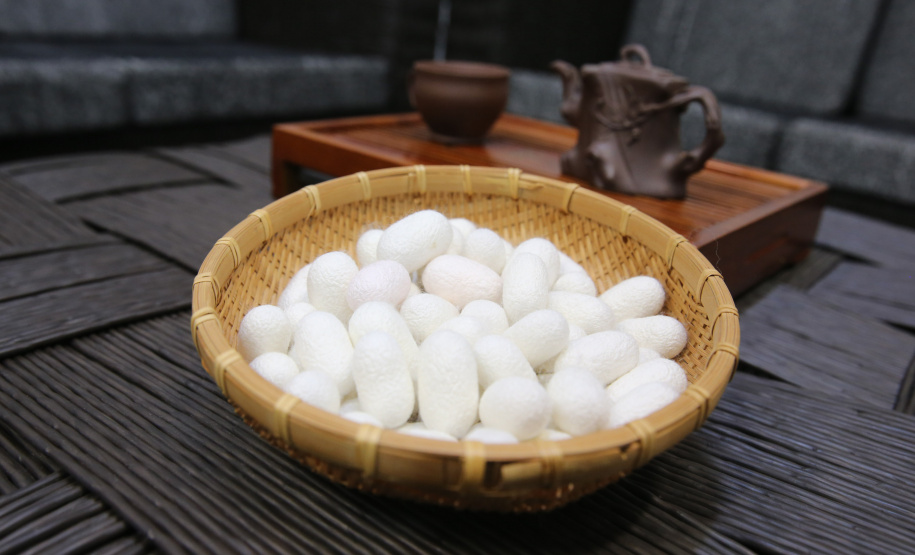 FEITO NO PARANA - Vale da Seda é um dos pólos de produção de vestuário no Brasil resultado de esforços conjuntos entre empresas privadas, universidades estaduais e sindicatos estão tornando possível a produção de artigos de seda, comercializados sob a marca coletiva Vale da Seda, que oferece garantia de origem, composição, qualidade e compromisso com o desenvolvimento regional sustentável. Maringá - 07/10/2020 - Foto: Geraldo Bubniak/AEN