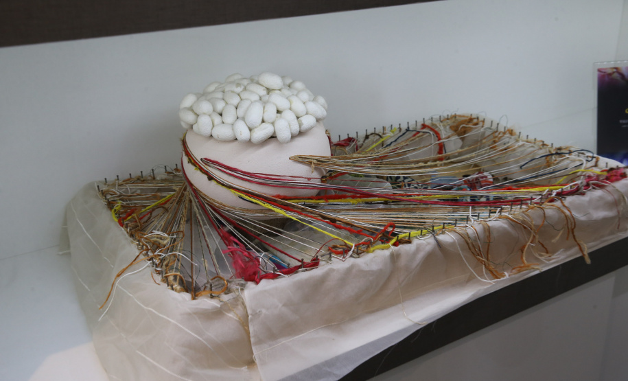 FEITO NO PARANA - Vale da Seda é um dos pólos de produção de vestuário no Brasil resultado de esforços conjuntos entre empresas privadas, universidades estaduais e sindicatos estão tornando possível a produção de artigos de seda, comercializados sob a marca coletiva Vale da Seda, que oferece garantia de origem, composição, qualidade e compromisso com o desenvolvimento regional sustentável. Maringá - 07/10/2020 - Foto: Geraldo Bubniak/AEN