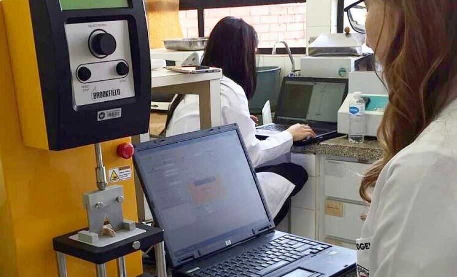 UEL pesquisa visão computacional na avaliação e produção de carnes. Foto: UEL