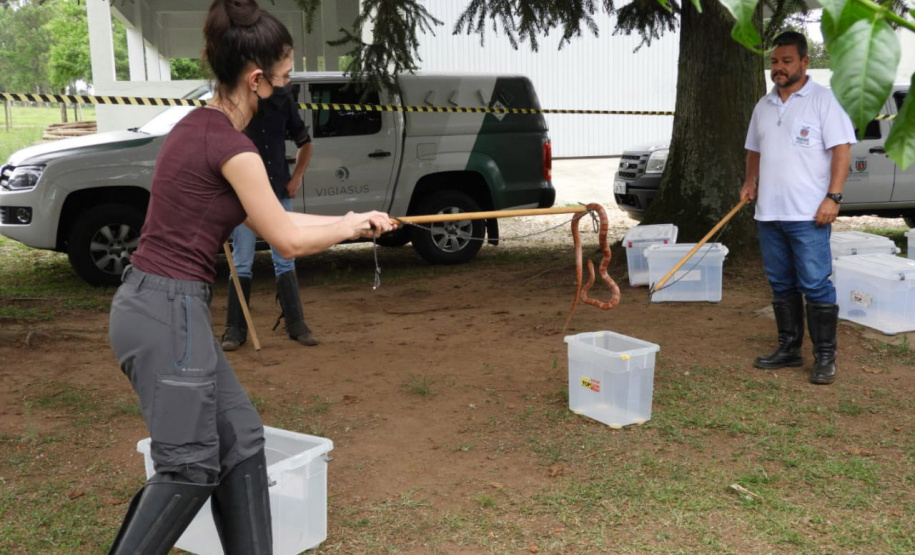 Começa nesta sexta-feira (30) as inscrições para 3ª edição da Residência Técnica em Engenharia e Gestão Ambiental. Ao todo, são 100 vagas em 21 cidades do Paraná para profissionais recém-formados. As inscrições serão feitas exclusivamente pela internet, até o dia 12 de novembro no link: www.cps.uepg.br/externos. Foto:SETI