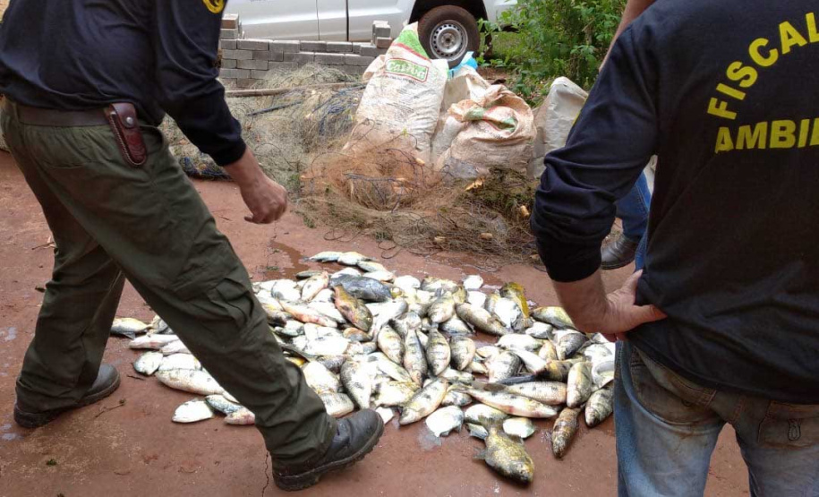 Força-tarefa salva matrizes de peixes e garante repovoamento dos rios. Foto:IAT
