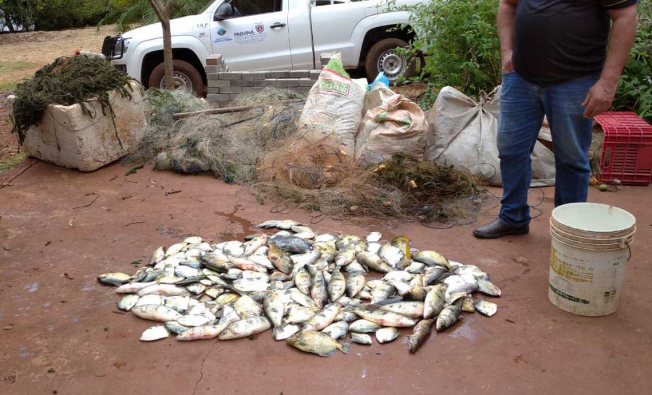 Força-tarefa salva matrizes de peixes e garante repovoamento dos rios. Foto:IAT