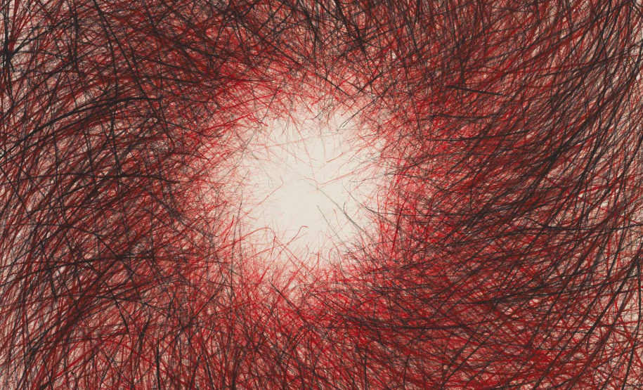 MON apresenta exposição da artista Vera Martins.