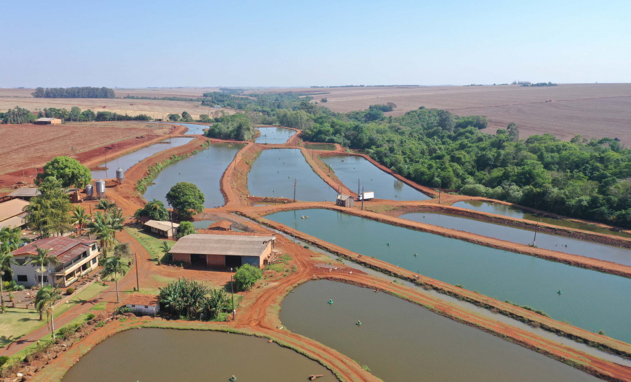 Pavimentação em estradas rurais facilita produção em Maripá