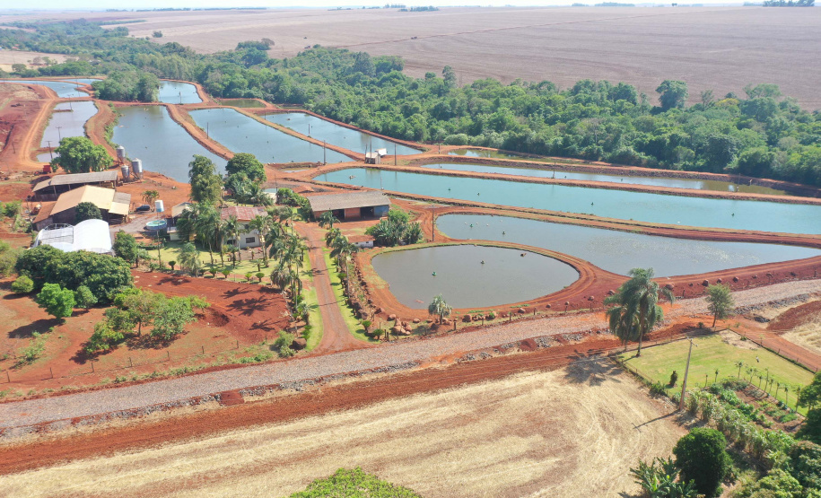 Pavimentação em estradas rurais facilita produção em Maripá
