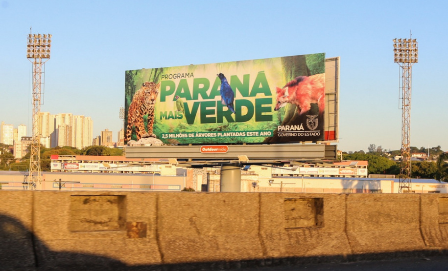 Estado estimula o plantio de 10 milhões de mudas de árvores nativas. Foto: Geraldo Bubniak/AEN