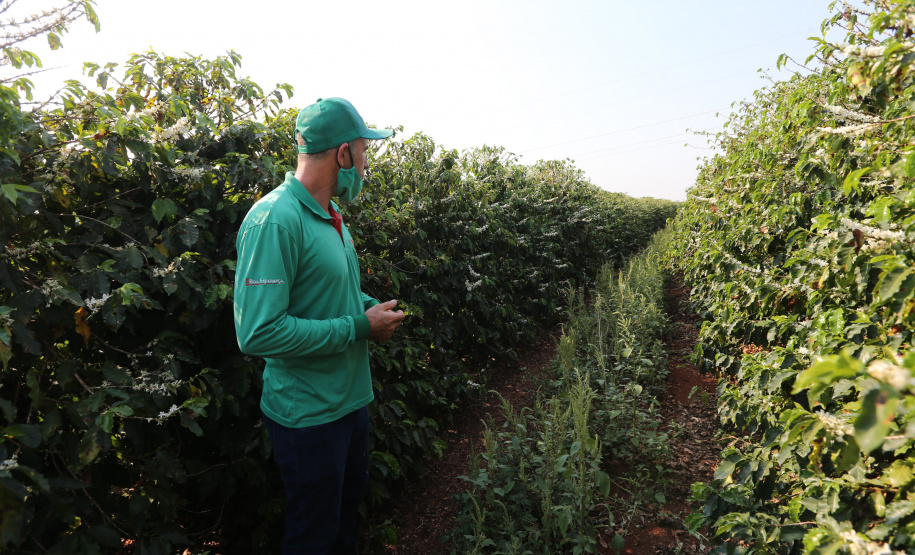 FEITO NO PARANA - Fabrica do Café Bela Esperança da cidade de Mandaguari.06/10/2020 - Foto: Geraldo Bubniak/AEN