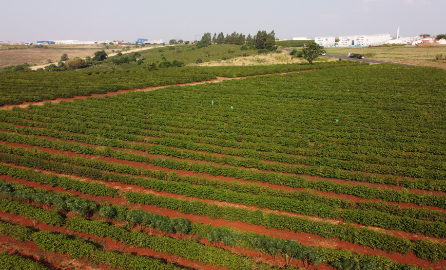 FEITO NO PARANA - Fabrica do Café Bela Esperança da cidade de Mandaguari.06/10/2020 - Foto: Geraldo Bubniak/AEN