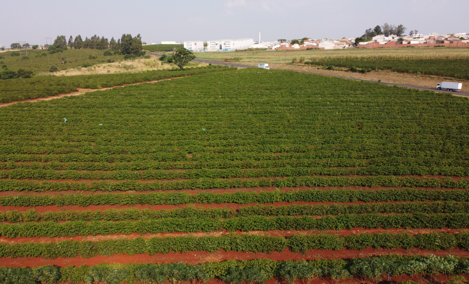 FEITO NO PARANA - Fabrica do Café Bela Esperança da cidade de Mandaguari.06/10/2020 - Foto: Geraldo Bubniak/AEN