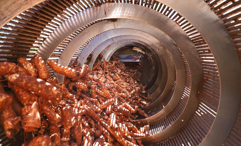 Mesmo com pandemia, indústria alimentícia paranaense cresce 9,4% no ano