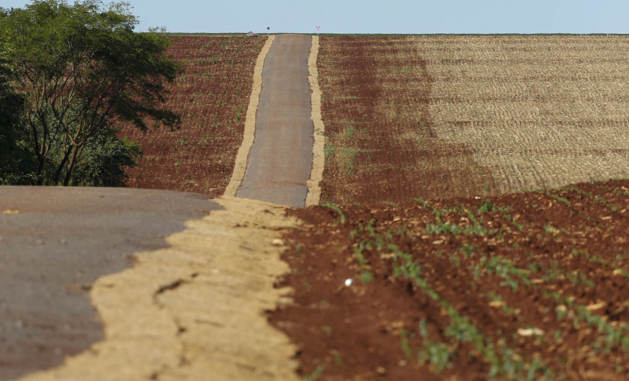 Palotina - 28-10-2020 - Alto Santana - Palotina - 28-10-2020 - Pavimentacão em Pedra Poliédrica na KD-131 em Palotina -Foto : Jonathan Campos / AEN-Foto : Jonathan Campos / AEN