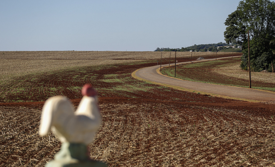Palotina - 28-10-2020 - Pavimentacão em Pedra Poliédrica na KD-306 em Palotina -Foto : Jonathan Campos / AEN