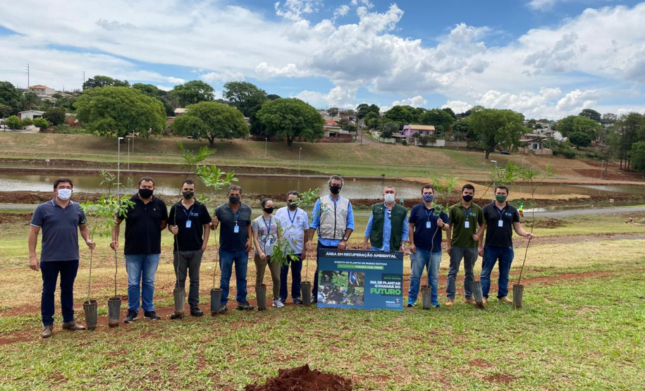 Com mudas do IAT, Parque das Torres é reflorestado em Campo Mourão. Foto: IAT