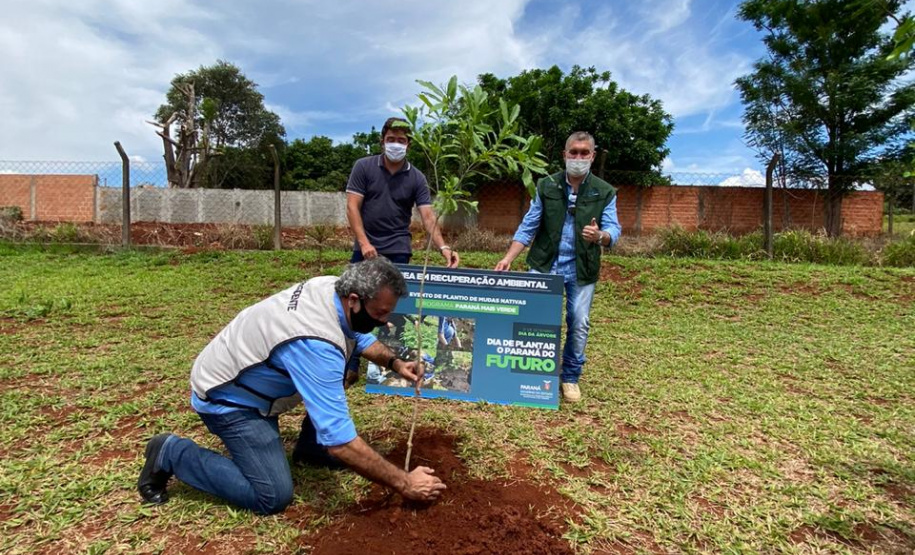 Com mudas do IAT, Parque das Torres é reflorestado em Campo Mourão. Foto: IAT