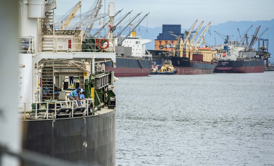 Portos do Paraná alcançam índices altos de ocupação e produtividade.