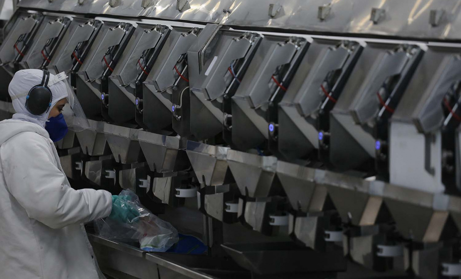 Nova Aurora - 09-10-2020 - Cooperativa Copacol - Abate de Tilapia - Foto : Jonathan Campos / AEN