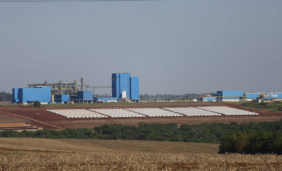 Palotina - 10-10-2020 - Cooperativa C Vale - Industria de Aves e Tilapia - Foto : Jonathan Campos / AEN