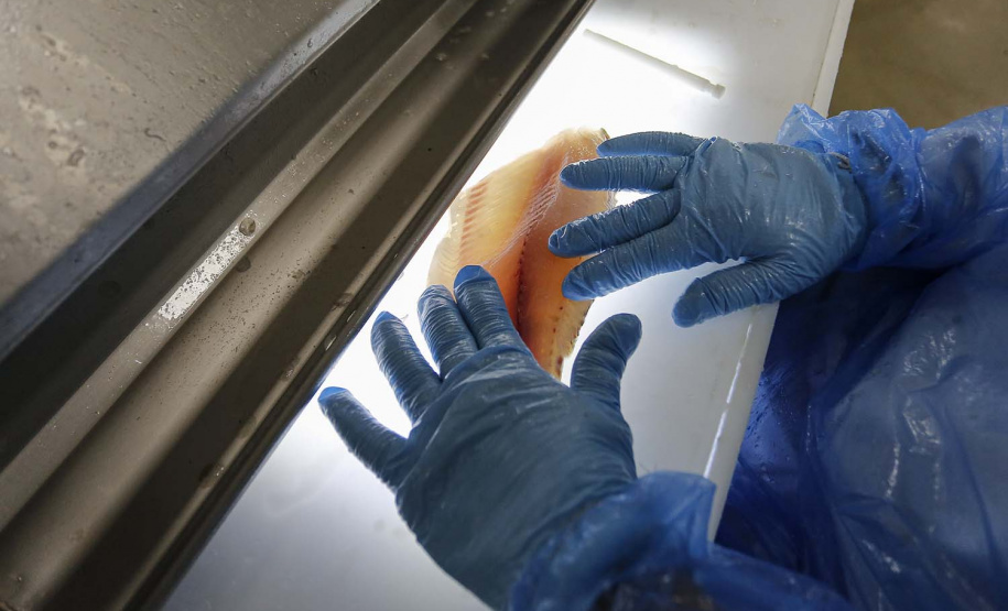 Palotina - 10-10-2020 - Cooperativa C Vale - Industria de Aves e Tilapia - Foto : Jonathan Campos / AEN