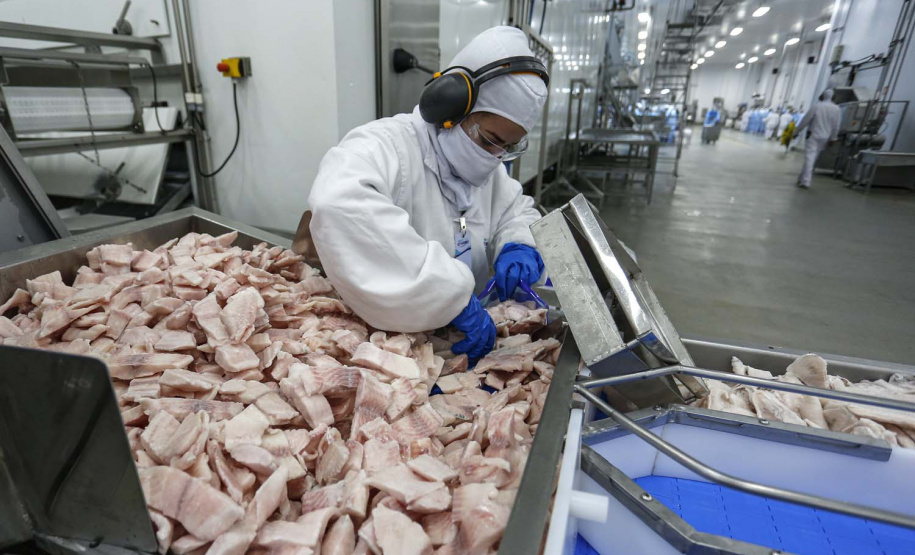 Palotina - 10-10-2020 - Cooperativa C Vale - Industria de Aves e Tilapia - Foto : Jonathan Campos / AEN