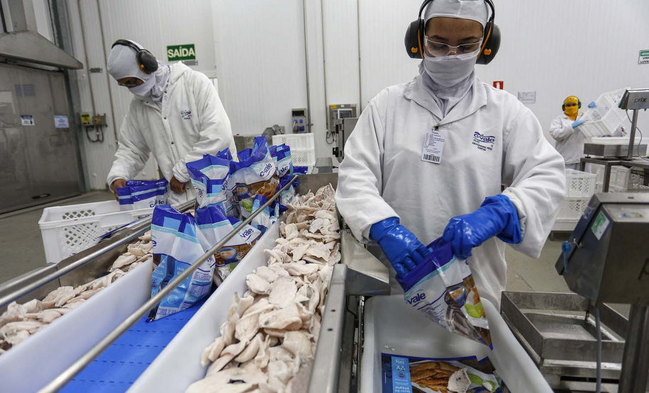 Palotina - 10-10-2020 - Cooperativa C Vale - Industria de Aves e Tilapia - Foto : Jonathan Campos / AEN