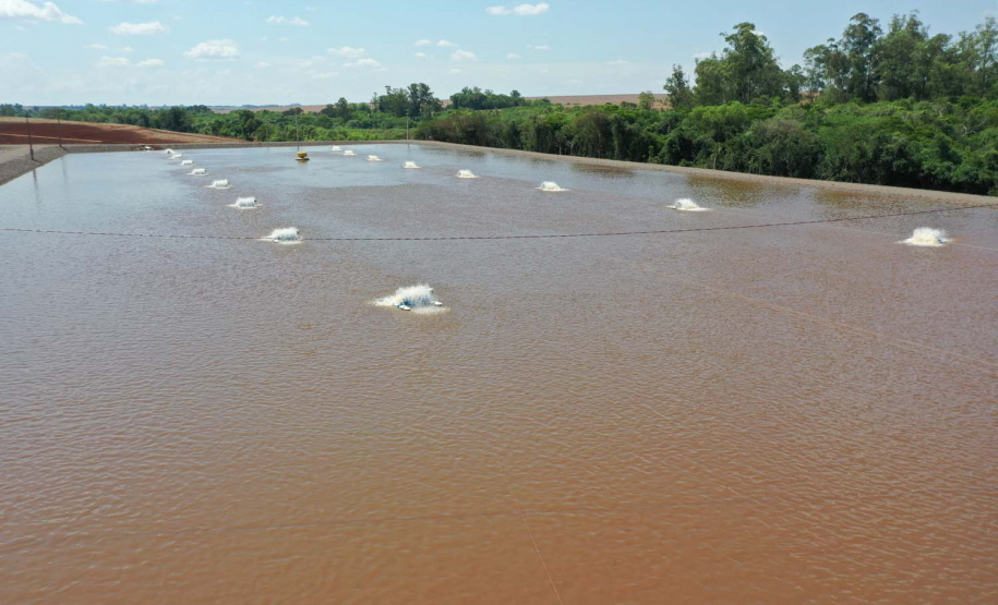 Palotina.Produção de tilápia. Foto: Alessandro Vieira/AEN