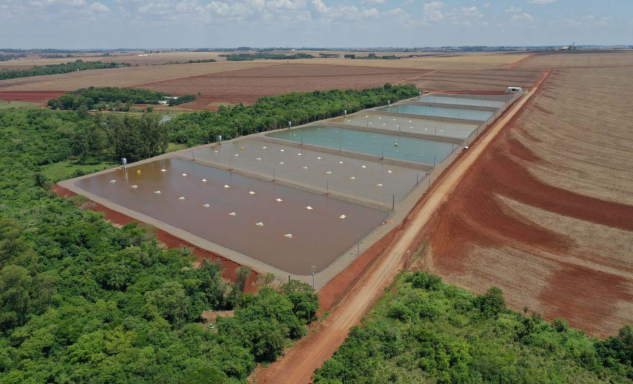 Palotina.Produção de tilápia. Foto: Alessandro Vieira/AEN