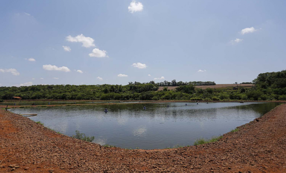 Maripá - 21-10-2020 - Produtor de Tilapia Rosimar Marquardt na região de Maripá- Foto : Jonathan Campos / AEN