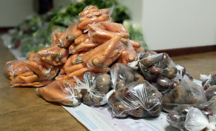 Foto: Marcelo Agenciano de Freitas/IDR