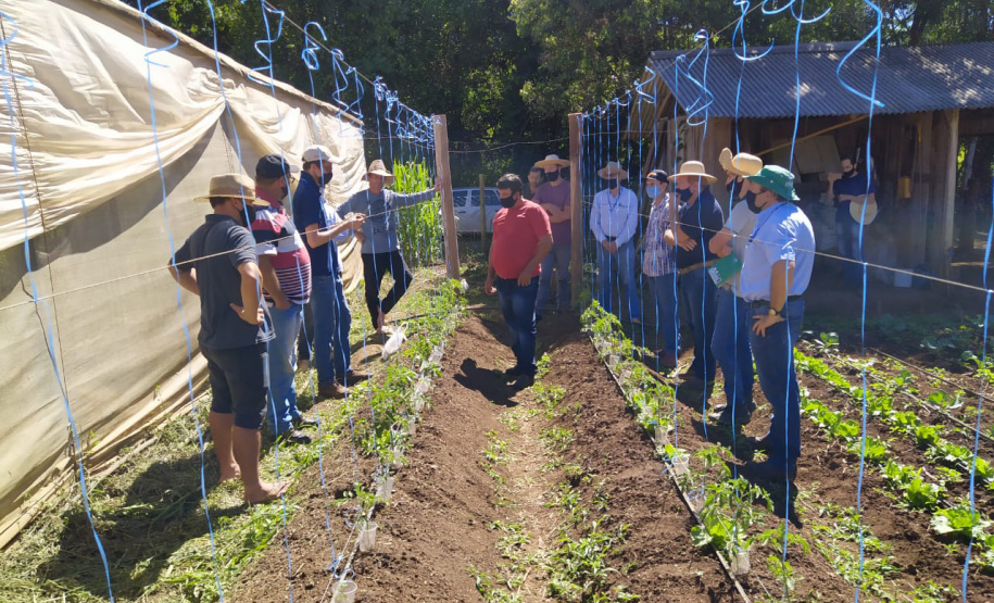 IDR-Paraná usa a internet capacitação conjunta em agricultura orgânica. Foto: IDR