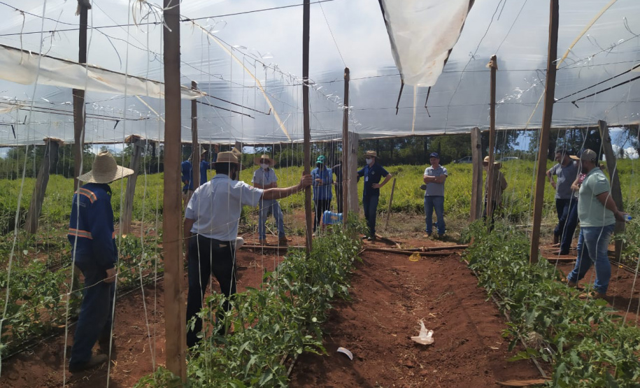 IDR-Paraná usa a internet capacitação conjunta em agricultura orgânica. Foto: IDR