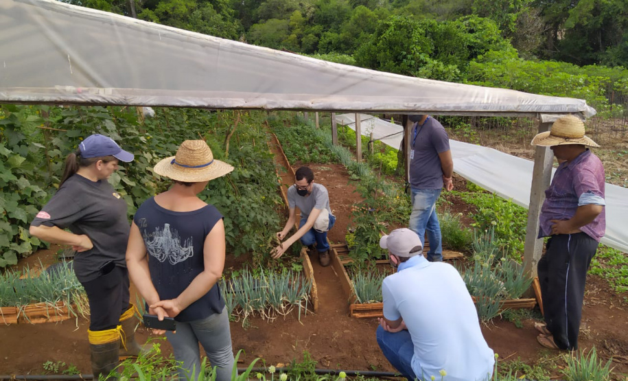 IDR-Paraná usa a internet capacitação conjunta em agricultura orgânica. Foto: IDR