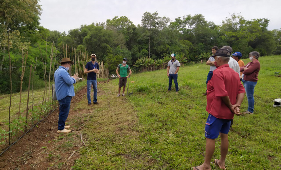 IDR-Paraná usa a internet capacitação conjunta em agricultura orgânica. Foto: IDR
