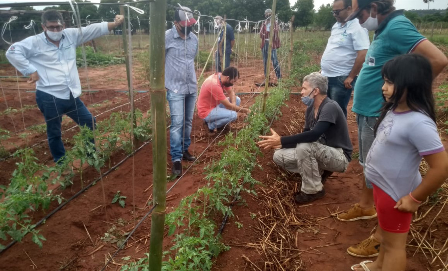 IDR-Paraná usa a internet capacitação conjunta em agricultura orgânica. Foto: IDR