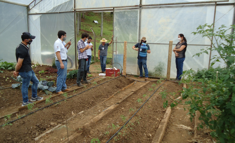 IDR-Paraná usa a internet capacitação conjunta em agricultura orgânica. Foto: IDR