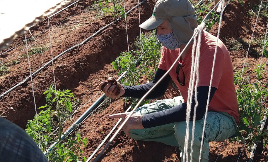 IDR-Paraná usa a internet capacitação conjunta em agricultura orgânica. Foto: IDR