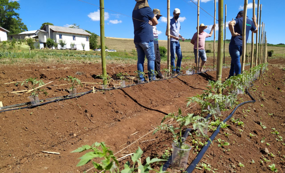 IDR-Paraná usa a internet capacitação conjunta em agricultura orgânica. Foto: IDR