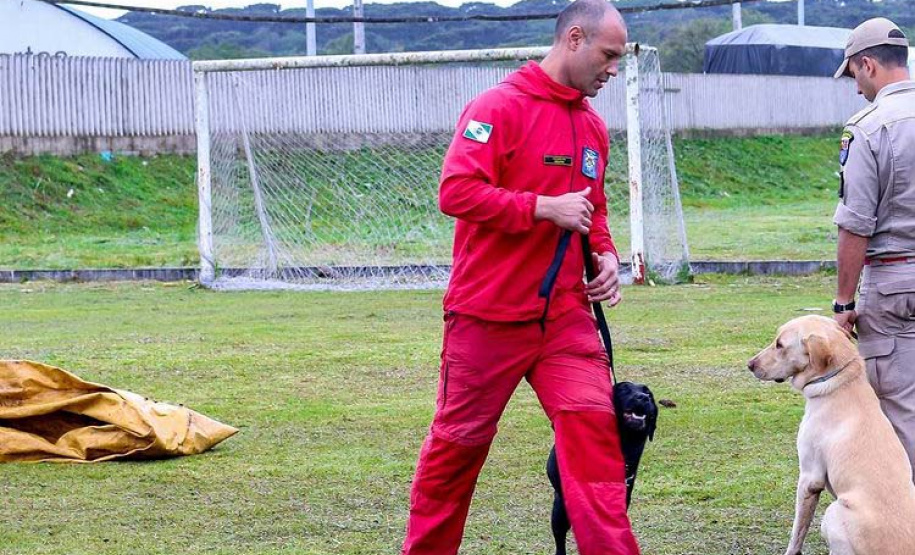 Bombeiros promovem certificação estadual de cães de busca e resgate. Foto: SESP