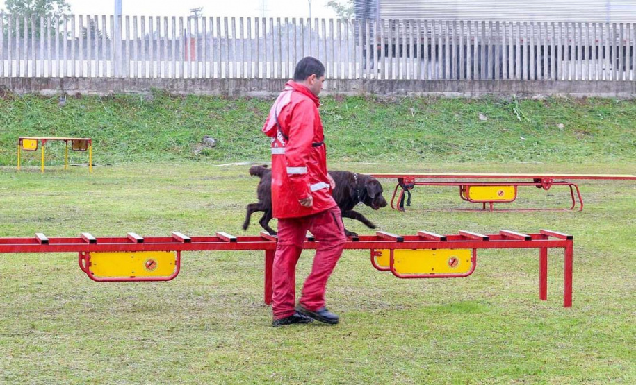 Bombeiros promovem certificação estadual de cães de busca e resgate. Foto: SESP