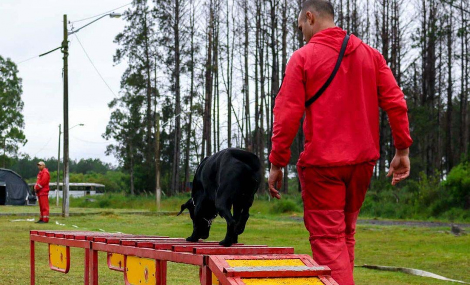 Bombeiros promovem certificação estadual de cães de busca e resgate. Foto: SESP