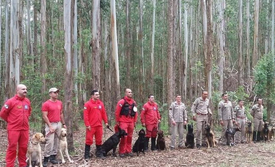 Bombeiros promovem certificação estadual de cães de busca e resgate. Foto: SESP