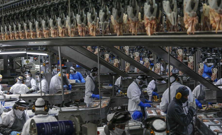 Palotina - 10-10-2020 - Cooperativa C Vale - Industria de Aves e Tilapia - Foto : Jonathan Campos / AEN