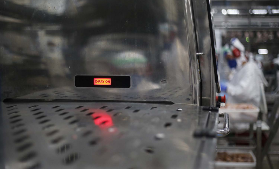 Matelândia- 22-10-2020 - Abatedouro de aves da cooperativa lar em Matelândia - Foto : Jonathan Campos / AEN