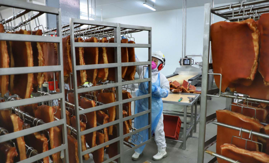 Com sede em Castro, a Alegra abate 3200 suínos por dia e produz cerca de 140 toneladas de produtos diariamente, o que leva a uma média mensal de 3300 toneladas de carnes industrializadas por mês.