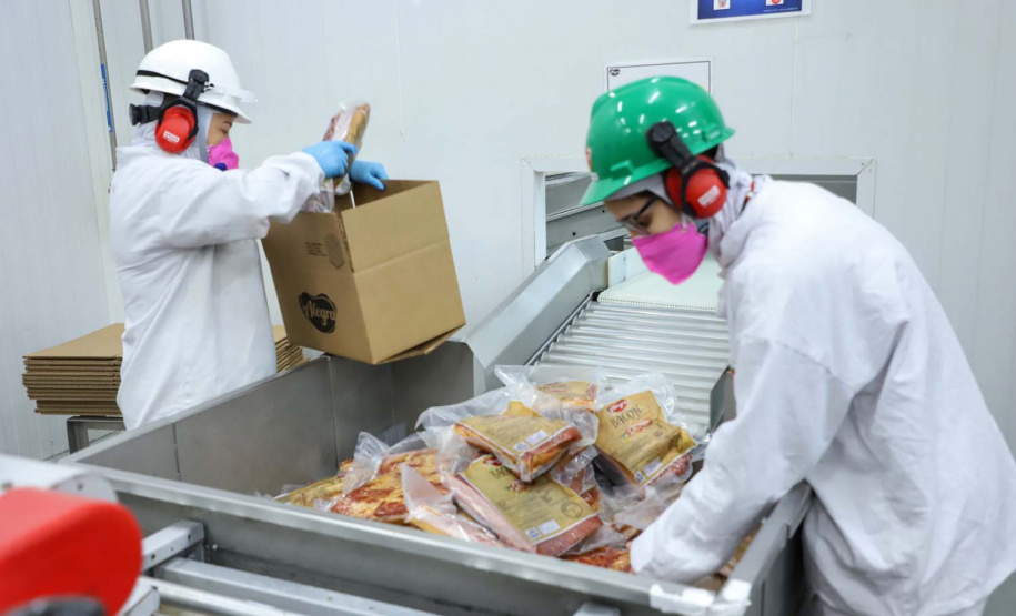 Com sede em Castro, a Alegra abate 3200 suínos por dia e produz cerca de 140 toneladas de produtos diariamente, o que leva a uma média mensal de 3300 toneladas de carnes industrializadas por mês.